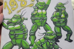 turtles-002